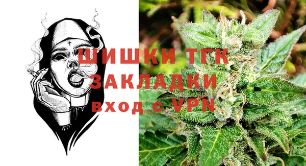 хмурый Аркадак