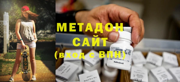 хмурый Аркадак