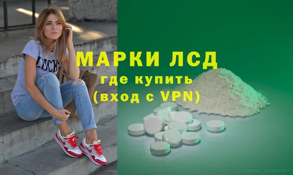 хмурый Аркадак