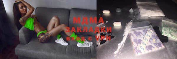 хмурый Аркадак