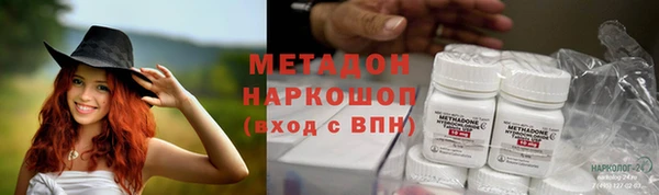 хмурый Аркадак