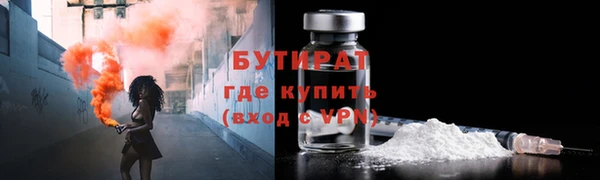хмурый Аркадак