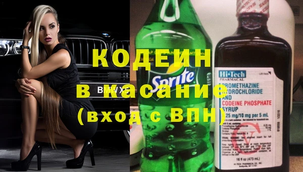 хмурый Аркадак