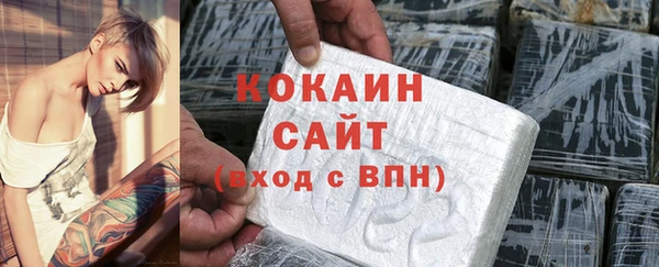 хмурый Аркадак