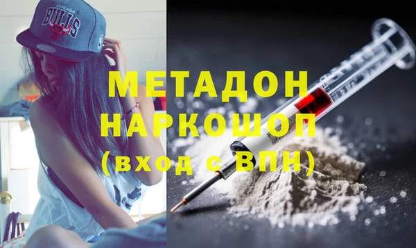 хмурый Аркадак
