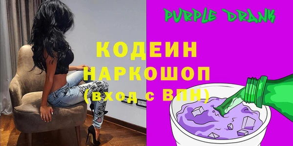 хмурый Аркадак