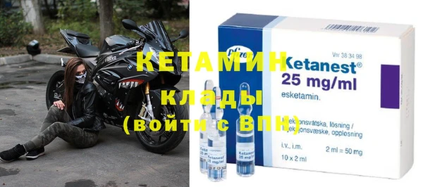 хмурый Аркадак
