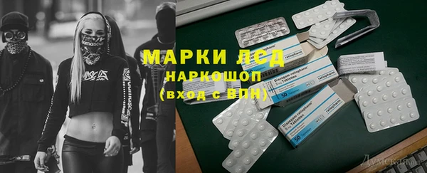 хмурый Аркадак